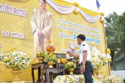  รายงานความก้าวหน้าของศูนย์เทคโนโลยีและสารสนเทศ ประจำวันที่ ๒๔-๒๗ กรกฏาคม 2560